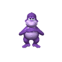 24506
